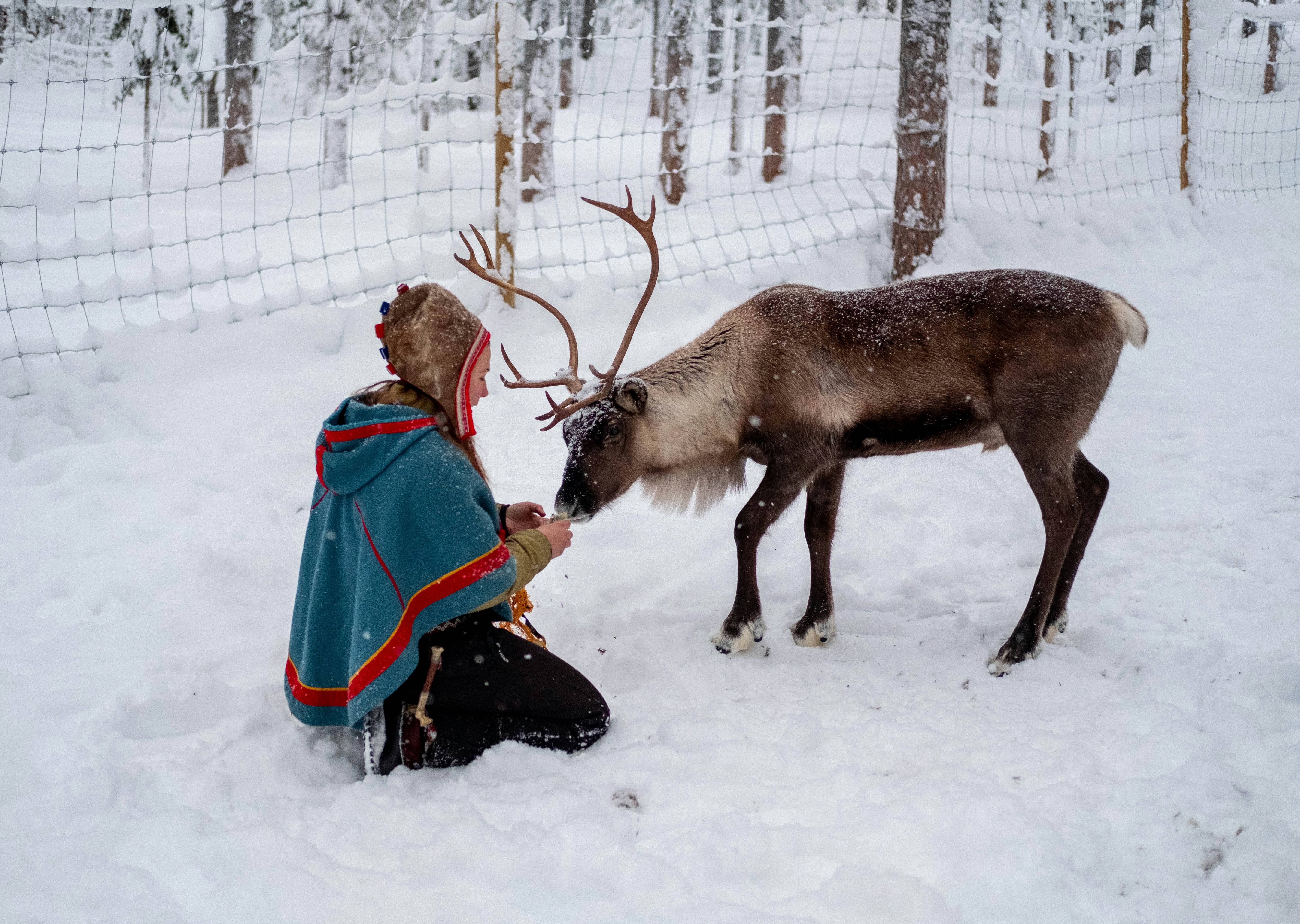 Sami cultural heritage
